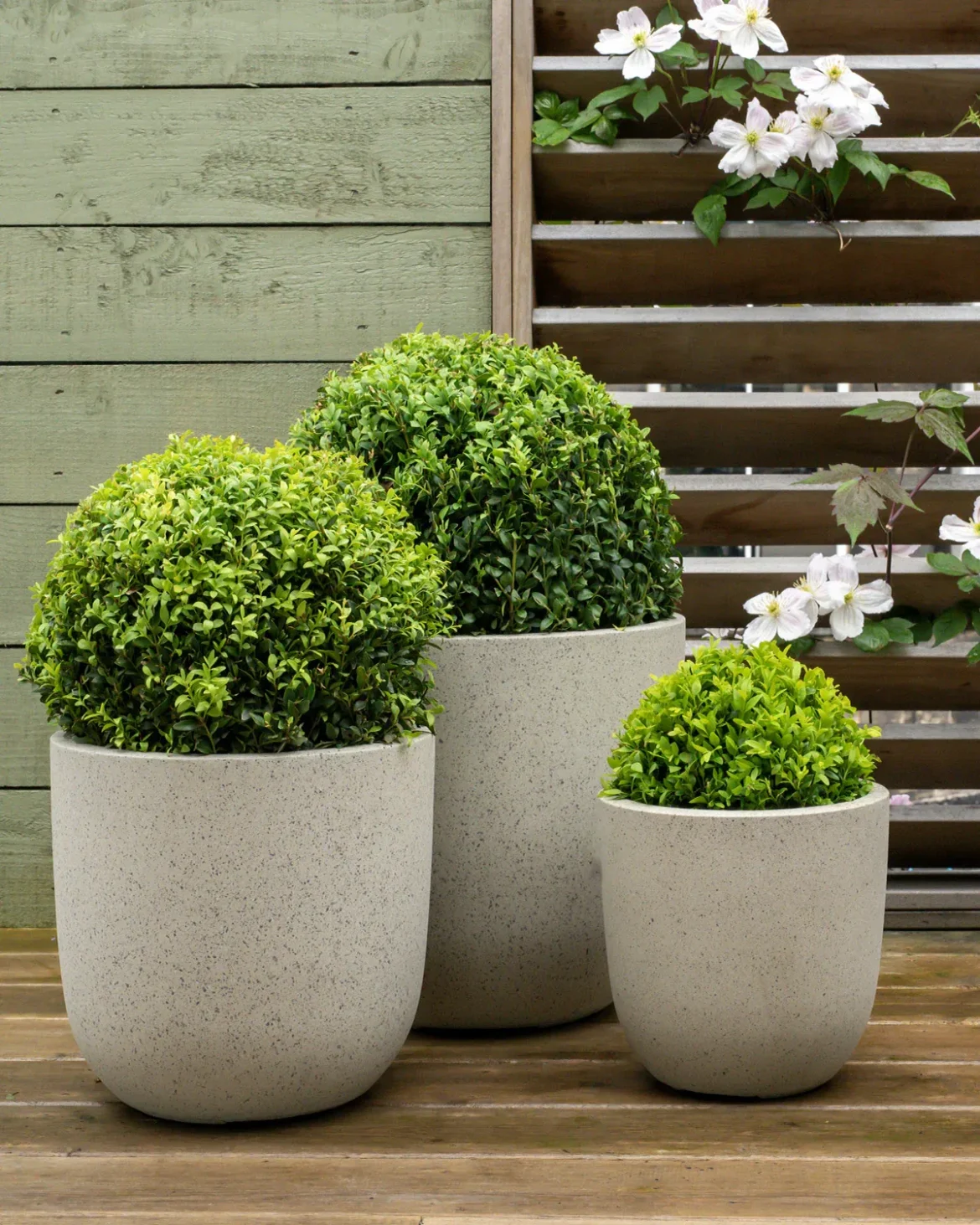Nature Meets Design – Create Stunning Outdoor Spaces with Prickle Plants